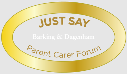 Just-Say-Forum-logo-1.png